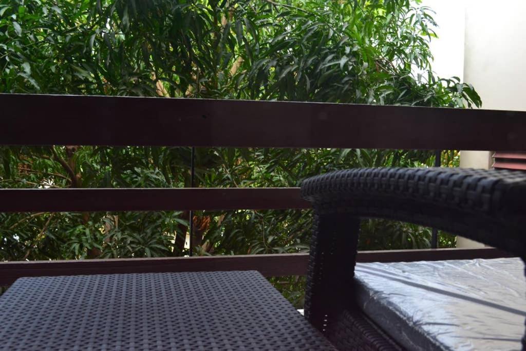 The Mango Lodge Kingston Eksteriør billede