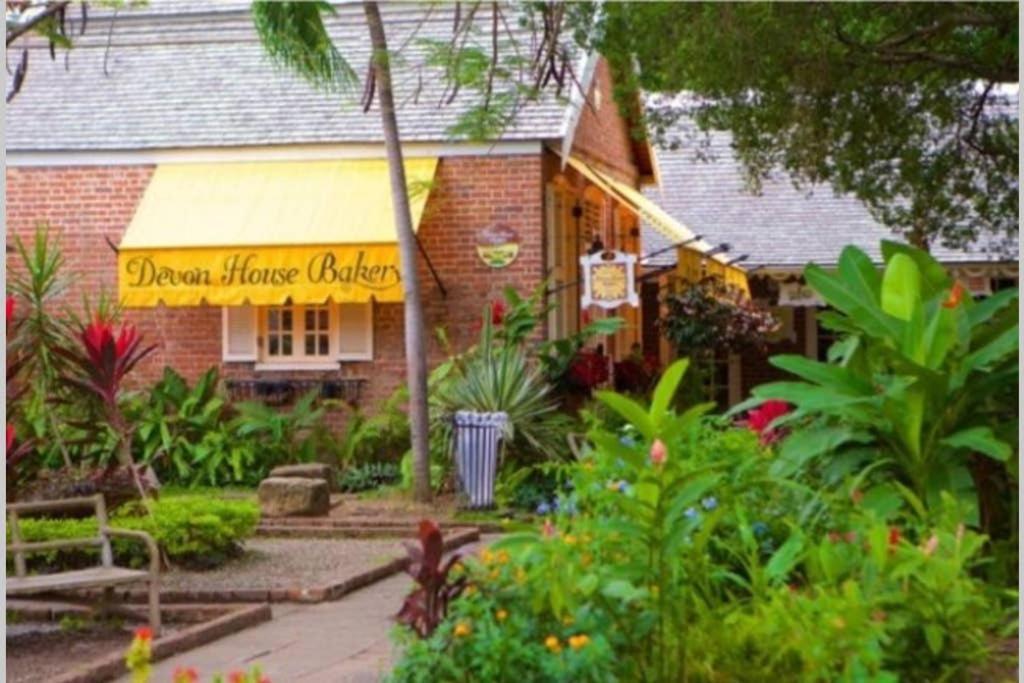 The Mango Lodge Kingston Eksteriør billede